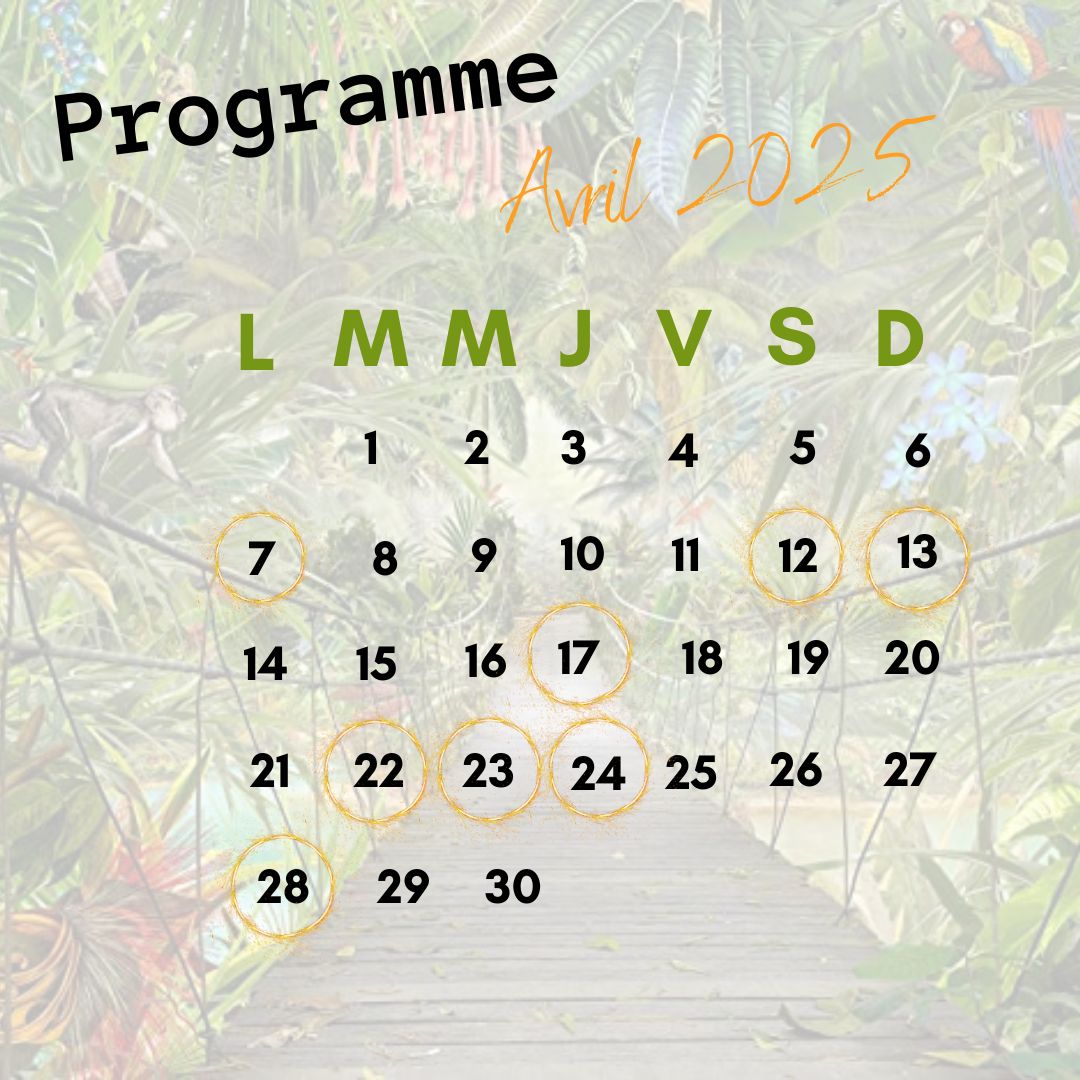 Le bruit du WIT Le bruit du WIT - AVRIL 2025