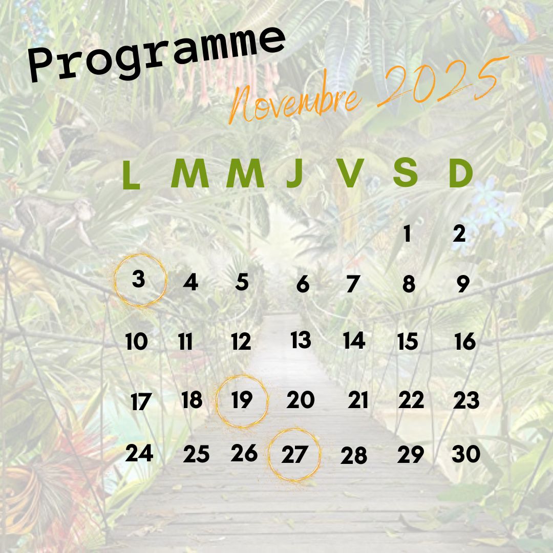 Le bruit du WIT - NOVEMBRE 2025