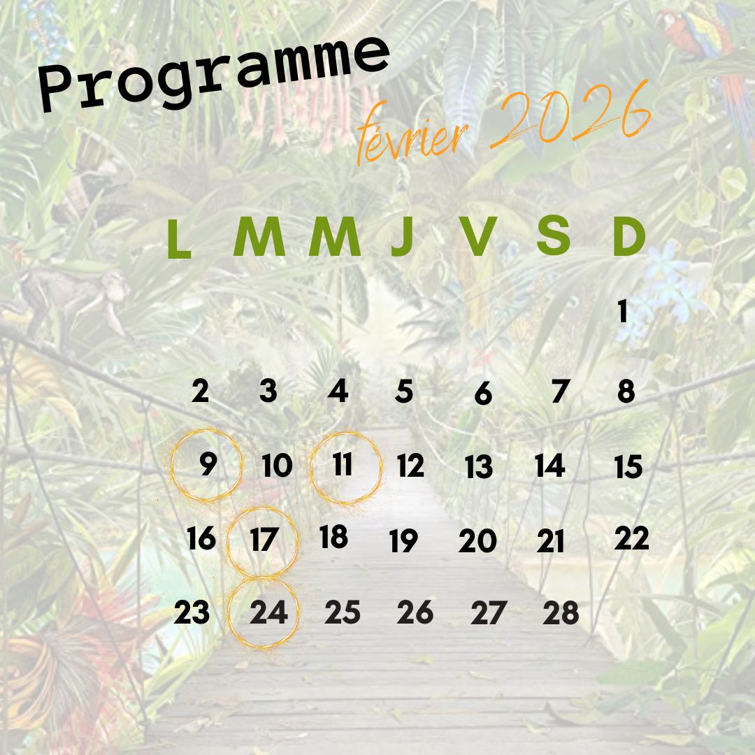 Le bruit du WIT - FEVRIER 2025